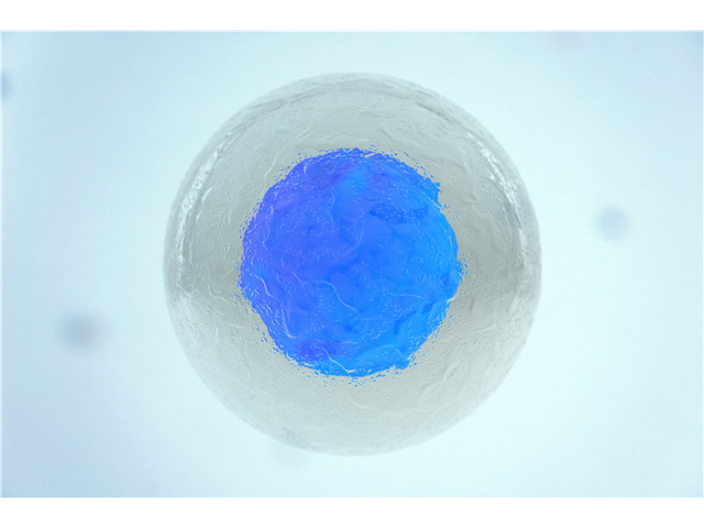 針對(duì)骨關(guān)節(jié)炎工程化外泌體